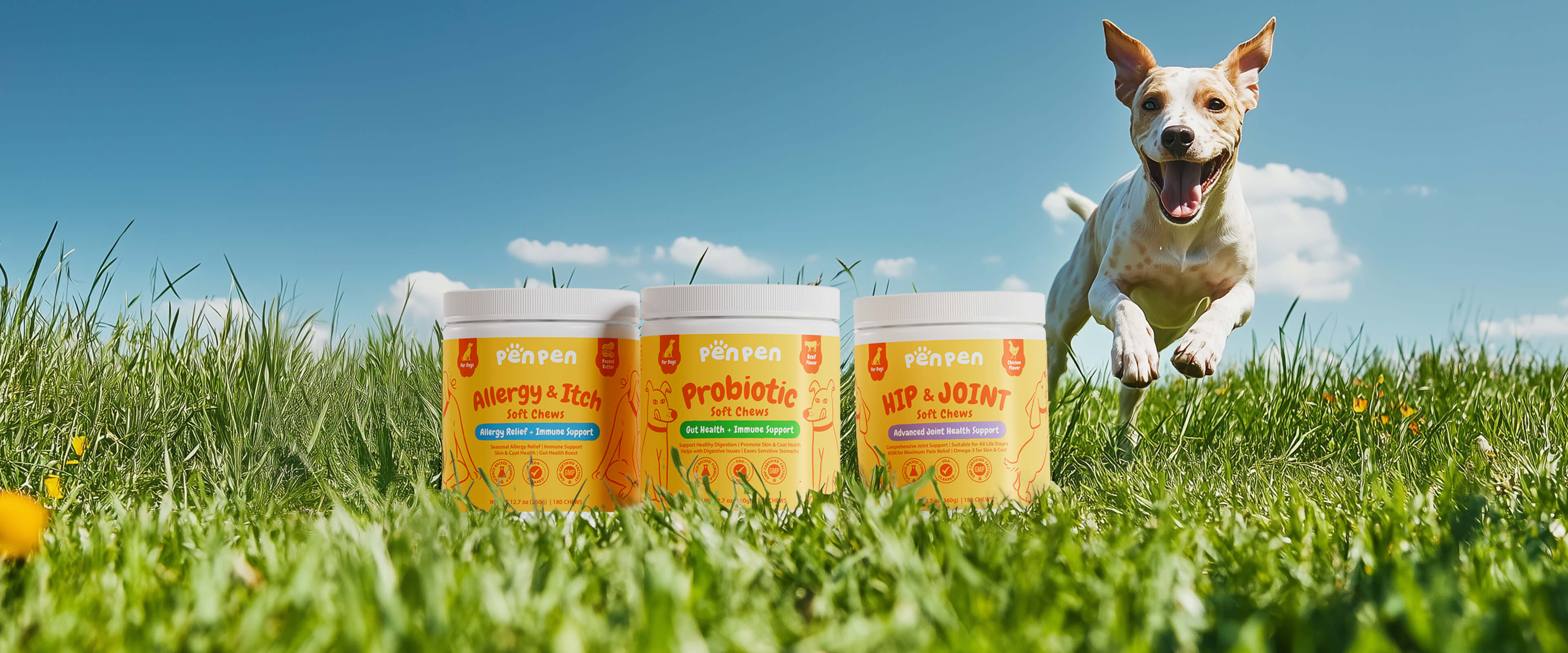 penpenpet penpen index page banner background for PC | dog run to penpen product, penpen allergy & itch, penpen probiotic, penpenhip & joint, soft chews