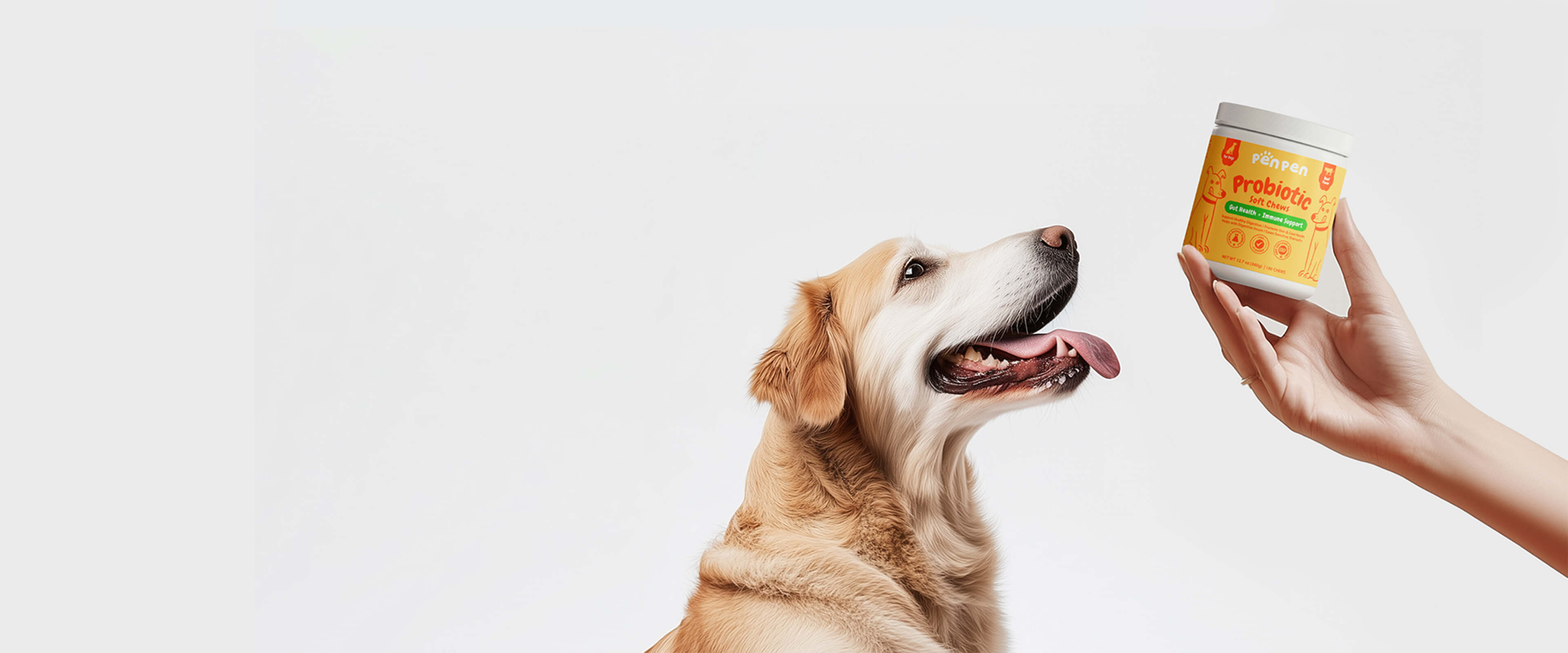 penpenpet penpen index page banner background for PC | dog looking & want penpen probiotic