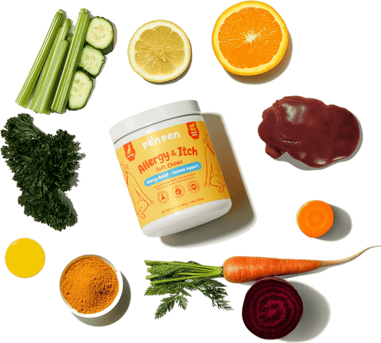 penpenpet penpen product PenPen Allergy & Itch Soft Chews, For dogs, peanut flavor, made of organic food