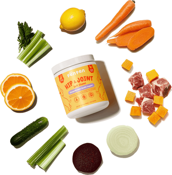 penpenpet penpen product PenPen HIP & JOINT Soft Chews, For dogs, Chicken flavor, made of organic food
