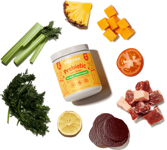 penpenpet penpen product PenPen Probiotic Soft Chews, For dogs, beaf flavor, made of organic food