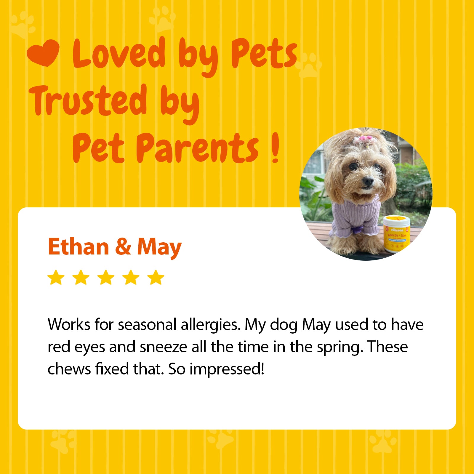 penpenpet product feedback "Loved by Pets Trusted by Pet Parents!" review "Ethan & May, 5 stars, Works for seasonal allergies. My dog May used to have red eyes and sneeze all the time in the spring. These chews fixed that. So impressed!"