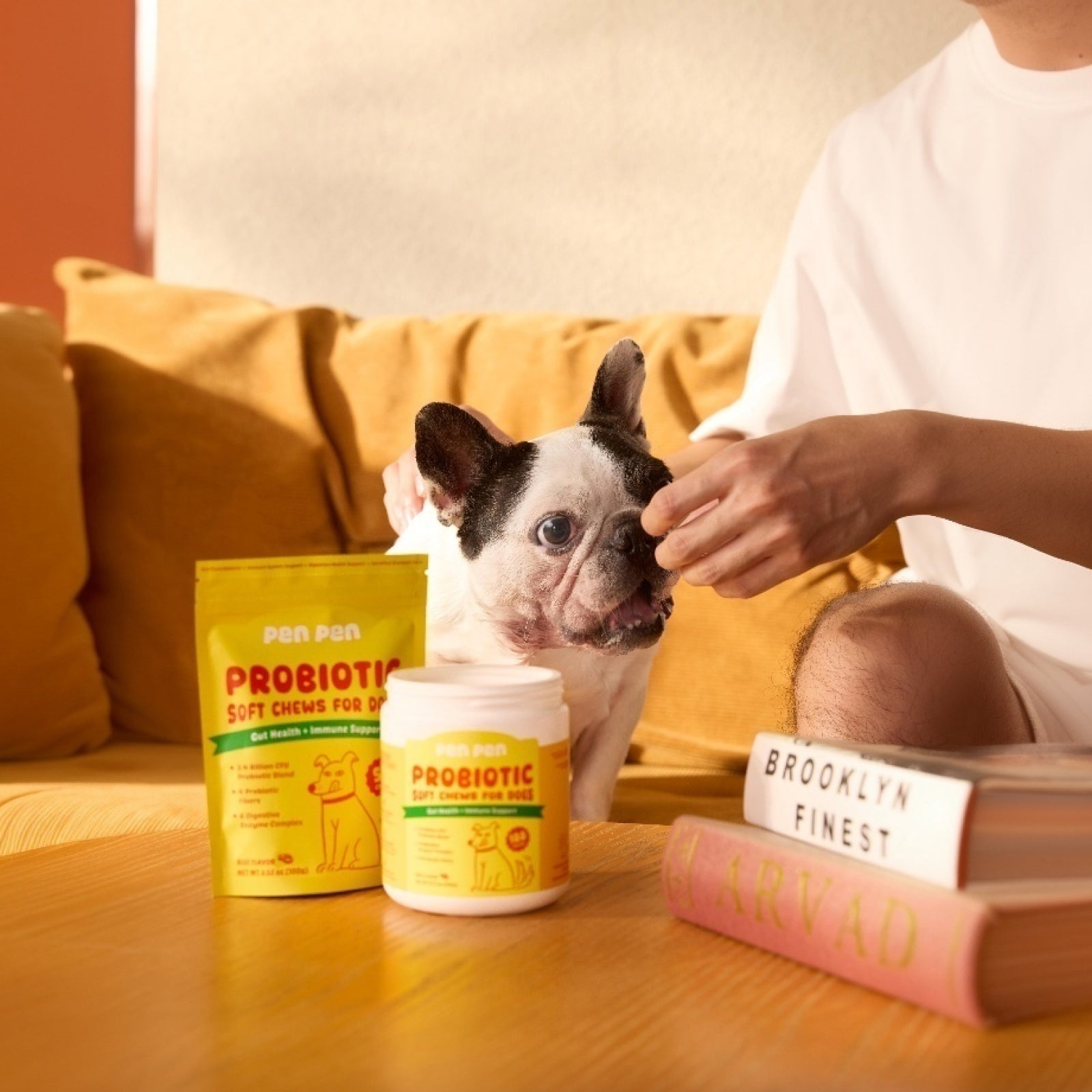 Gut Health + Immune Support Probiotic Soft Chews for Dogs – Beef Flavor