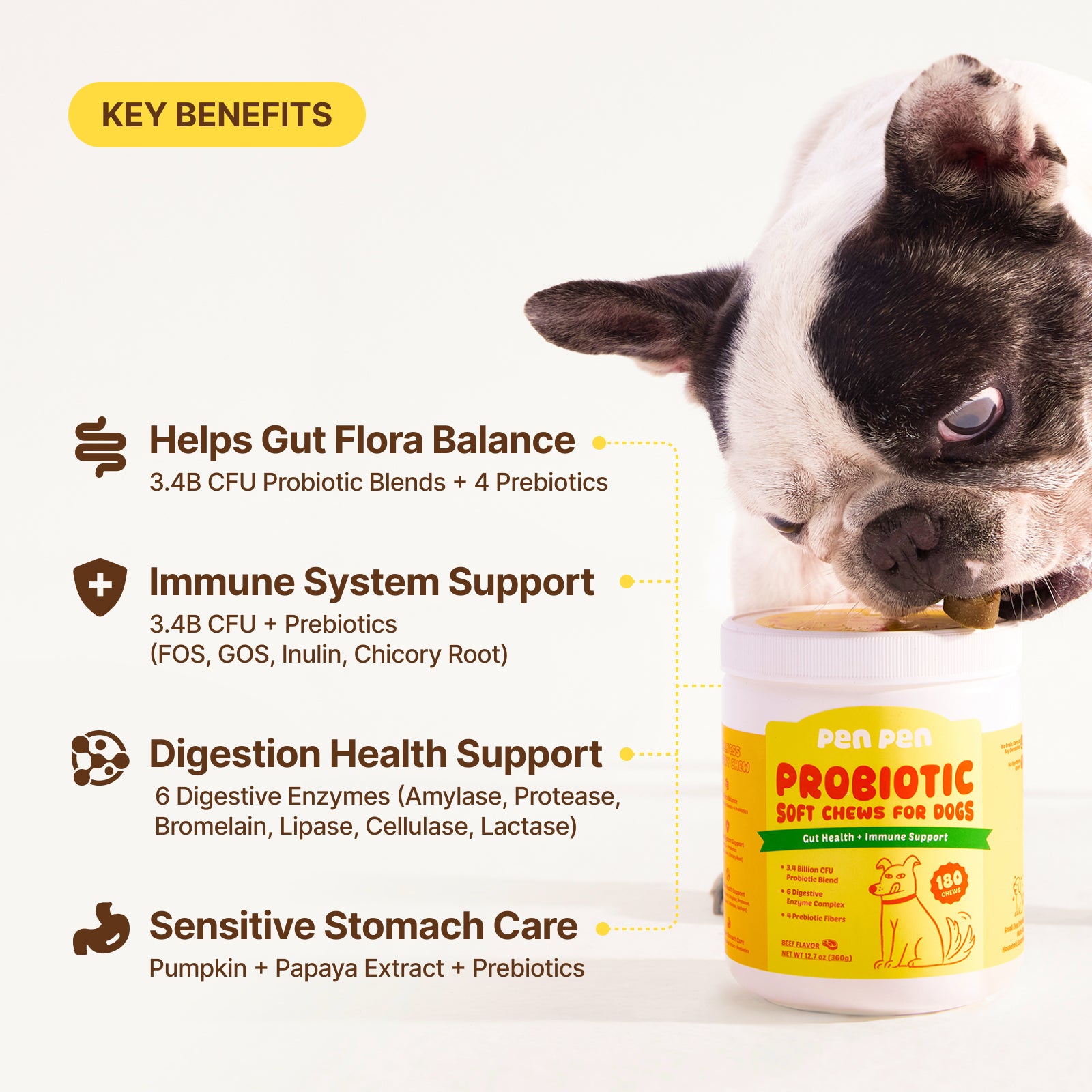 Gut Health + Immune Support Probiotic Soft Chews for Dogs – Beef Flavor