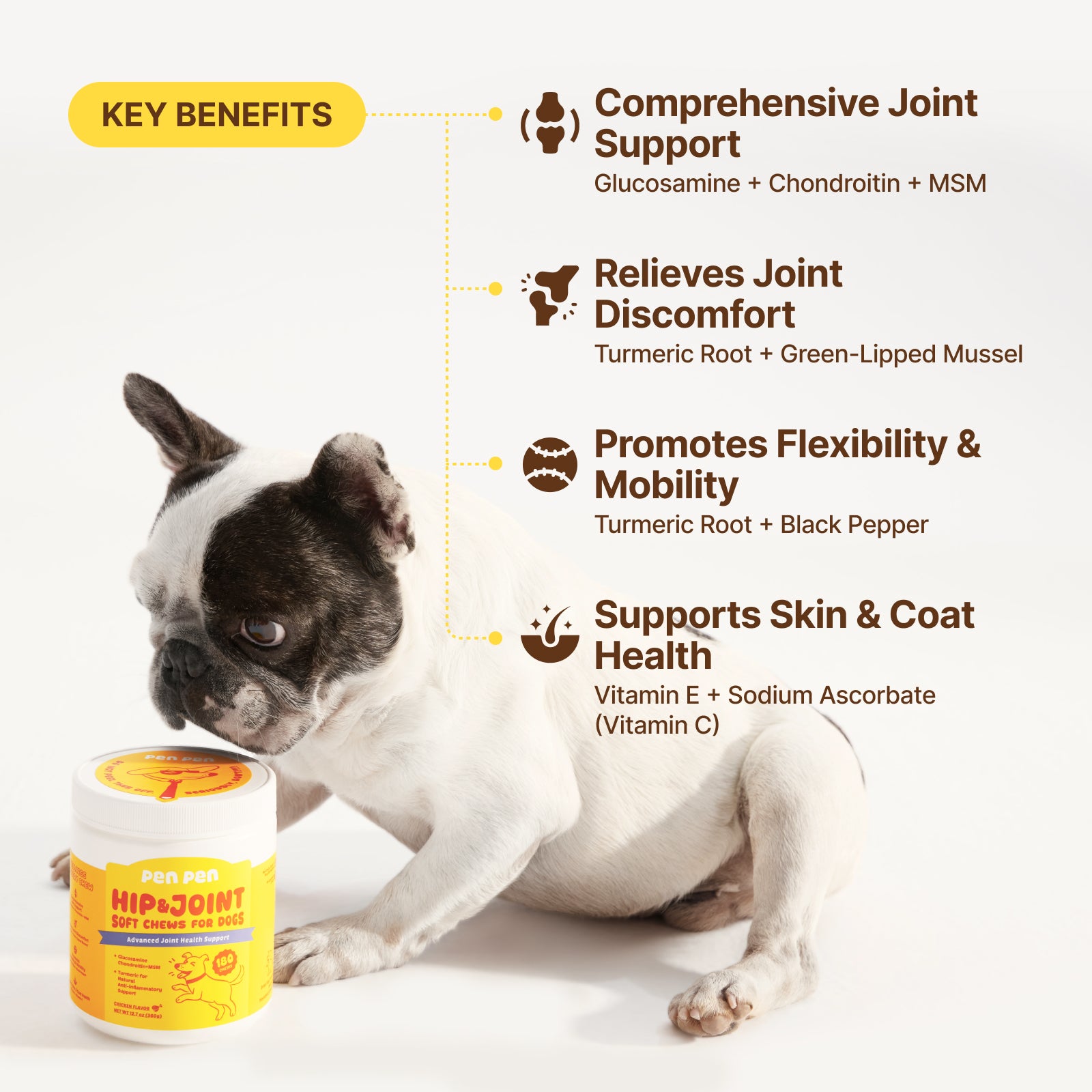 Advanced Hip + Joint Support for Dogs – Chicken Flavor
