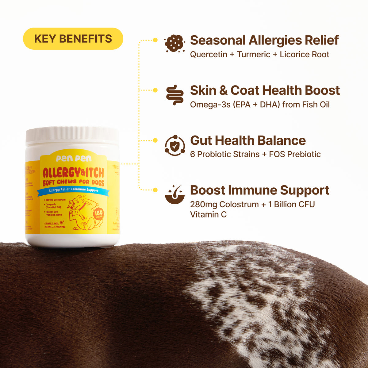 Allergy Relief + Immune Support Soft Chews for Dogs – Peanut Flavor