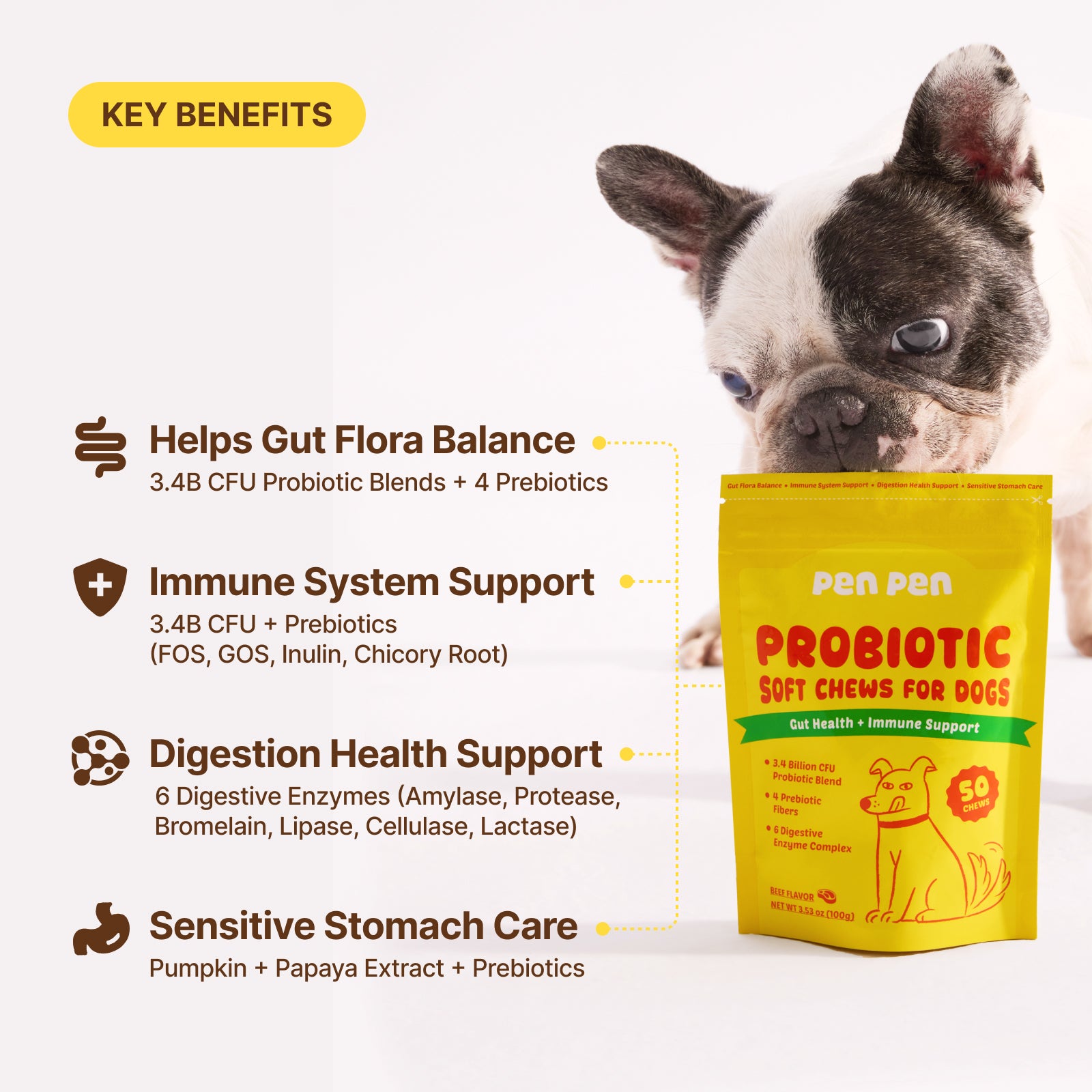 Gut Health + Immune Support Probiotic Soft Chews for Dogs – Beef Flavor