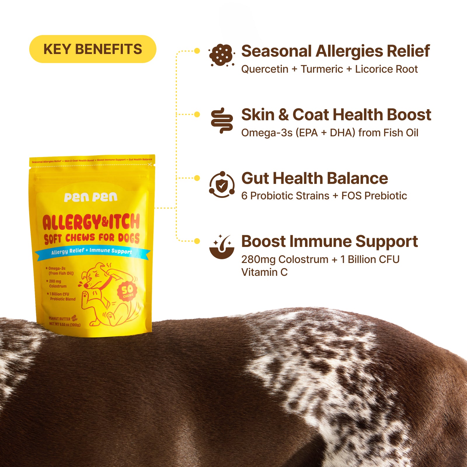 Allergy Relief + Immune Support Soft Chews for Dogs – Peanut Flavor