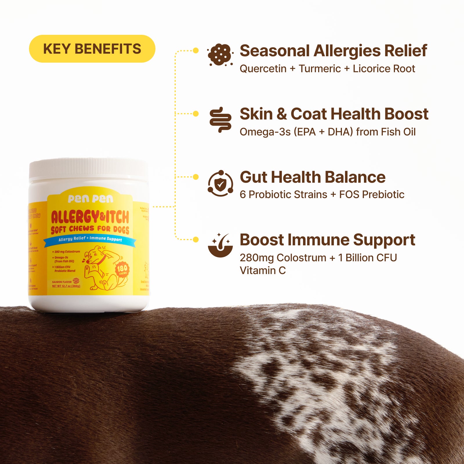 Allergy Relief + Immune Support Soft Chews for Dogs – Peanut Flavor