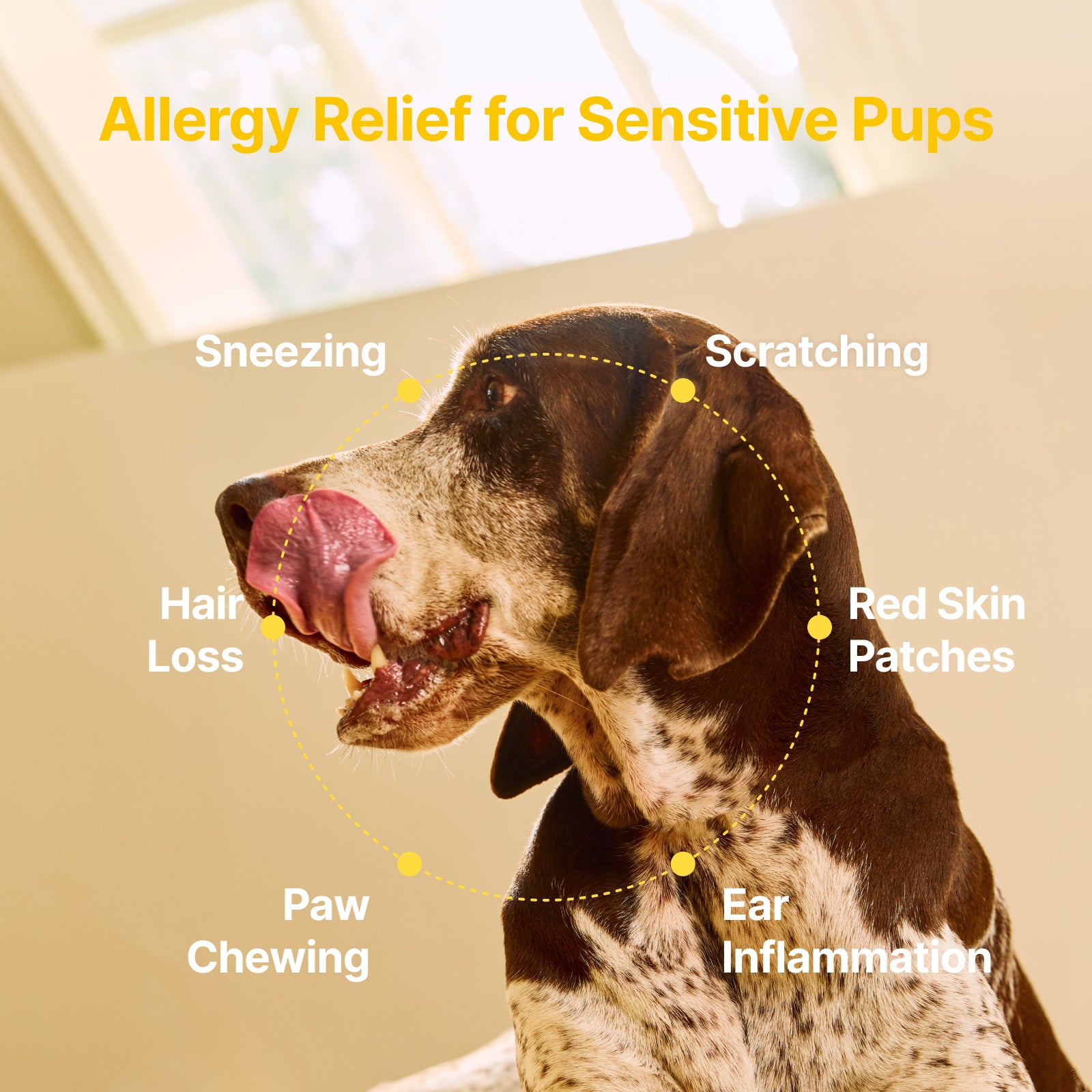 Allergy Relief + Immune Support Soft Chews for Dogs – Peanut Flavor