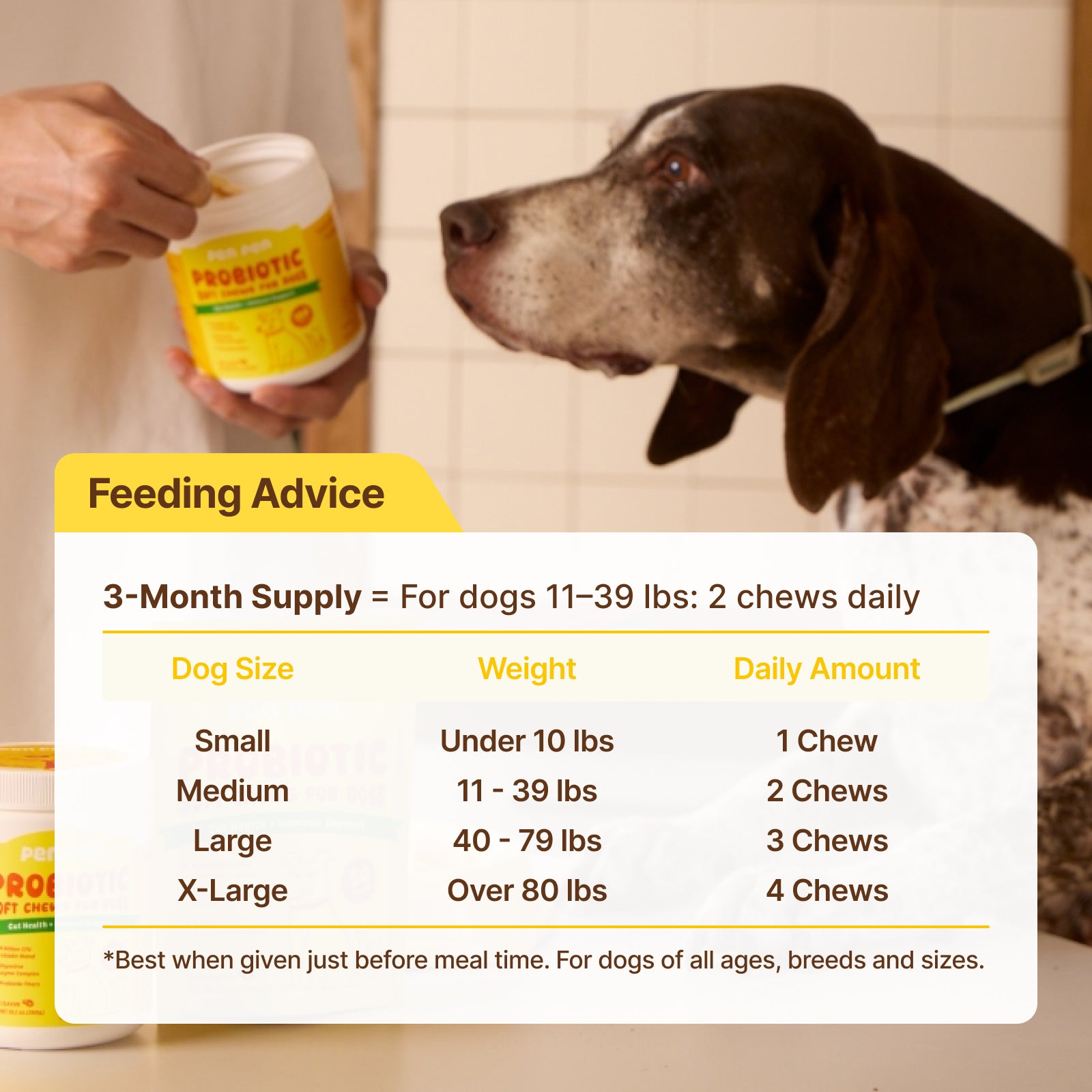 Gut Health + Immune Support Probiotic Soft Chews for Dogs – Beef Flavor